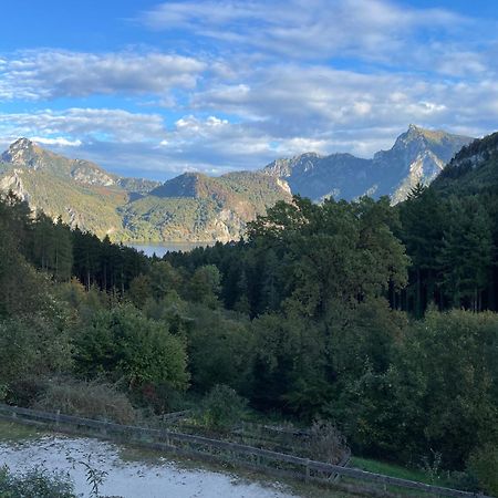 Pension 'S Waldeck Traunkirchen Bagian luar foto