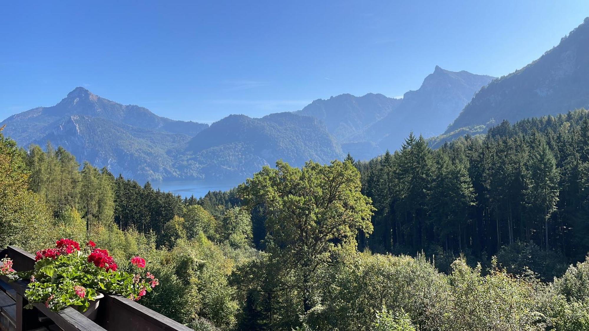 Pension 'S Waldeck Traunkirchen Bagian luar foto